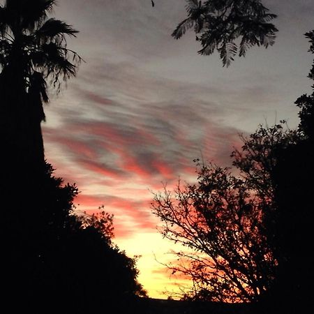 Artkaroo Stay Oudtshoorn Luaran gambar