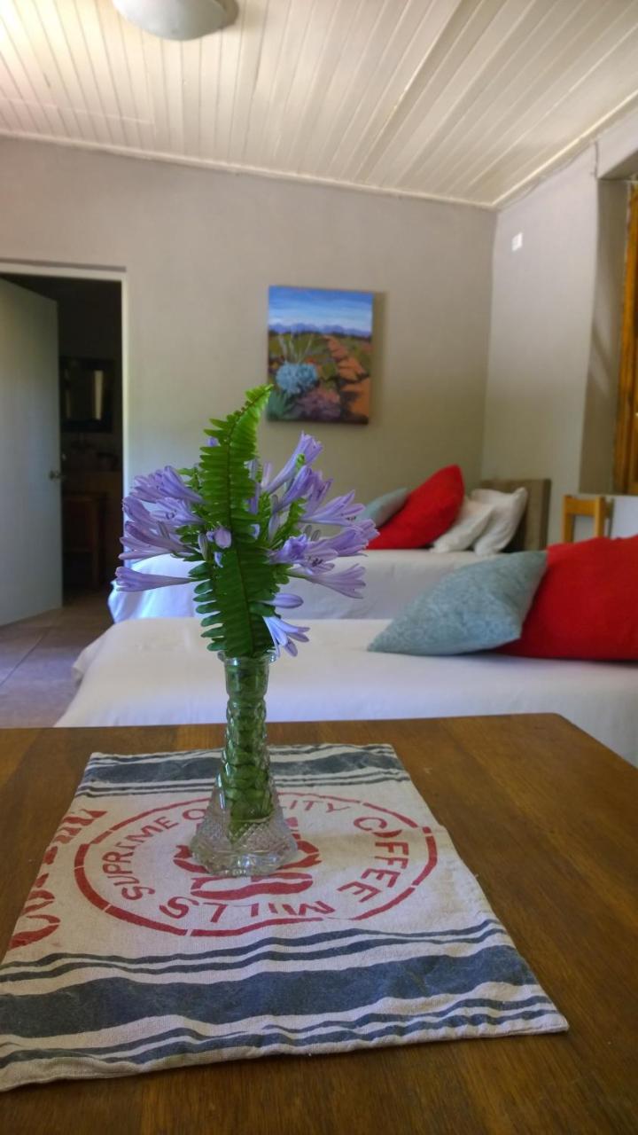 Artkaroo Stay Oudtshoorn Luaran gambar